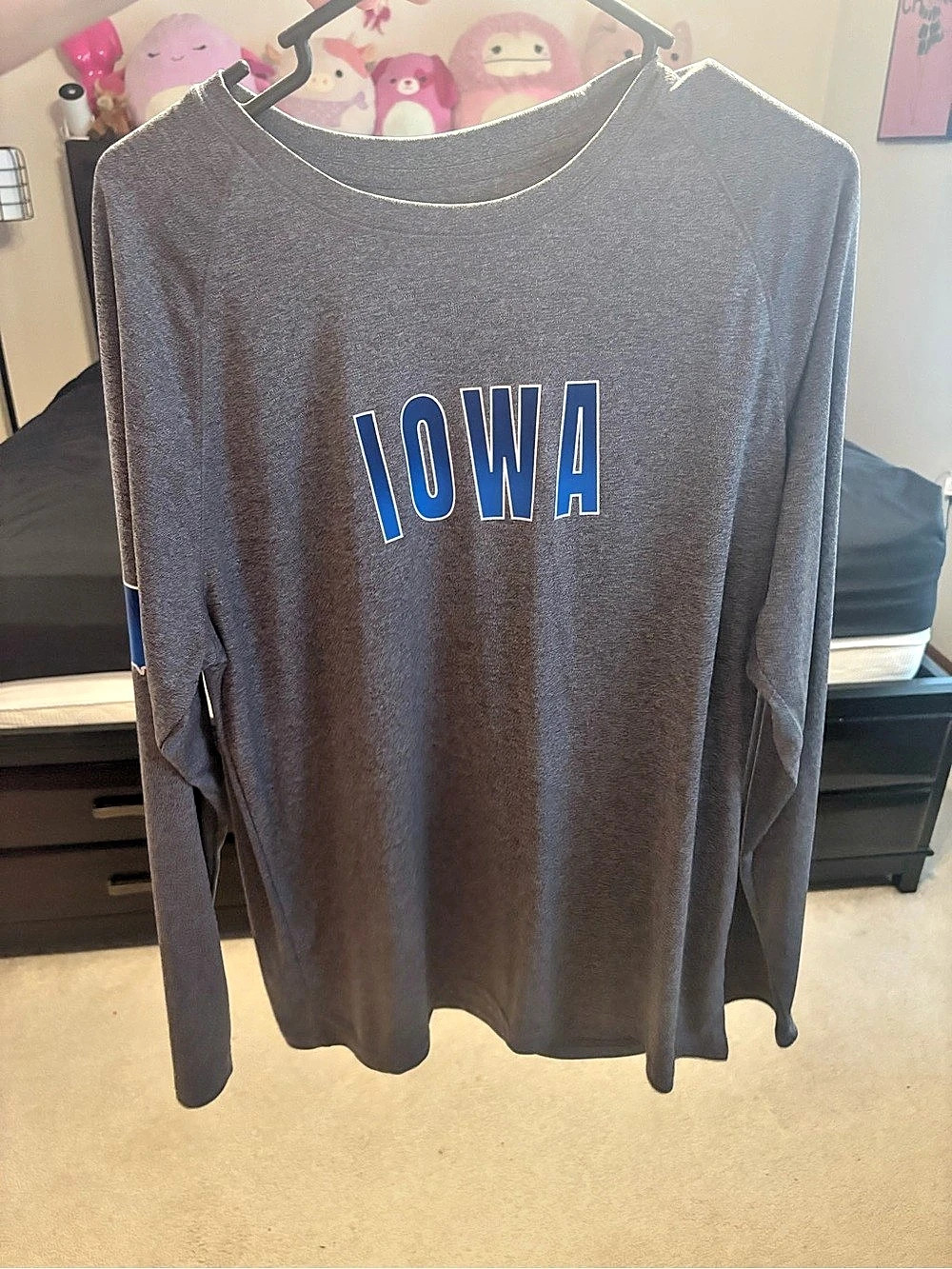 Iowa Long Sleeve Tee in Gray